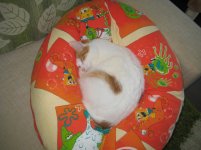 IMG_1606.jpg