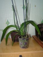 PICT9589.jpg