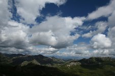 IMG_3671.jpg