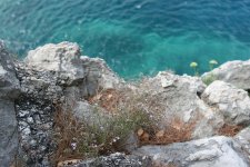IMG_3431.jpg