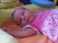 Изображение 241.jpg