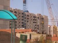 Изображение 324.jpg