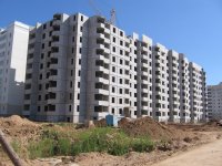 Изображение 335.jpg