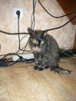 IMGP0104a.jpg
