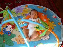 DSC01993.jpg
