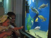 IMG_1624 (Small).JPG