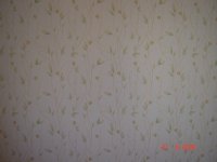 обои в маленькой комнате.JPG