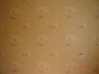 обои в большой комнате.JPG