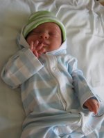 IMG_0906.jpg