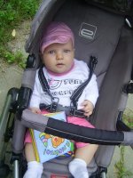 PIC_2268888.jpg