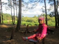 Изображение 231 - копия.jpg