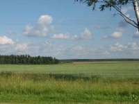 IMG_1427.JPG