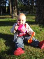 IMG_2801.jpg