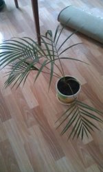 IMAG0418.jpg
