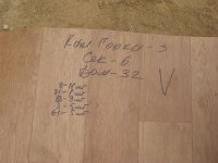 IMG_9652.jpg