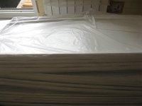 IMG_9678.jpg