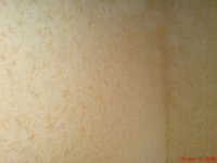 DSC03532.JPG