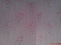 DSC03534.JPG