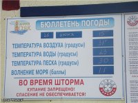 29a1a24e1681.jpg