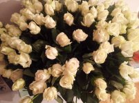 20120924_233945_resize.jpg