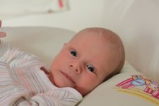 IMG_2385u.jpg