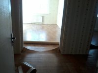 2012-09-29 10.28.58.jpg