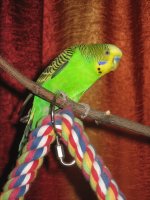IMG_2236.jpg