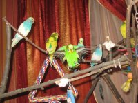 IMG_2241.jpg