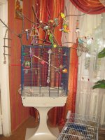 IMG_2244.jpg