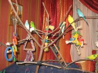 IMG_2245.jpg