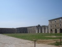DSC05161.jpg