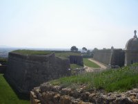 DSC05178.jpg