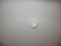 IMG_1775.JPG