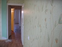 IMG_1793.JPG