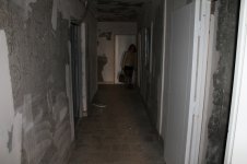 IMG_1229.jpg