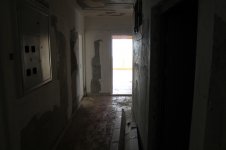 IMG_1241.jpg