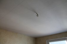 IMG_1245.jpg