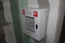 IMG_1252.jpg