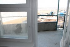 IMG_1263.jpg