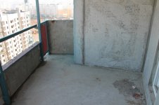 IMG_1265.jpg