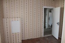 IMG_1271.jpg