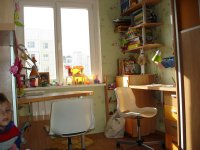 DSC08262.jpg