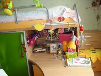 DSC08268.jpg