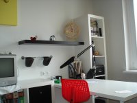 DSC08272.jpg