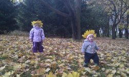 IMG_20121014_164826.jpg