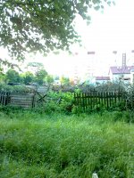 Фото0555.jpg