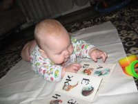 IMG_2906.jpg