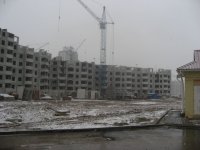 IMG_7077.JPG