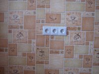 IMG_1737_новый размер.JPG