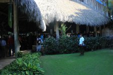 IMG_2333.JPG